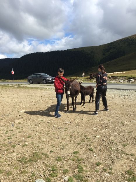 524B2CA7-B57F-4CFE-9AA2-19D28FA45341 - Eu si familia mea