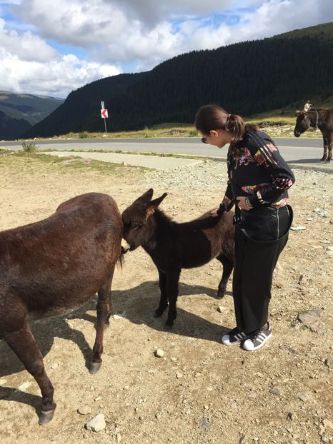 C6FA769F-4545-476A-BCA7-128794BB00BD - Eu si familia mea