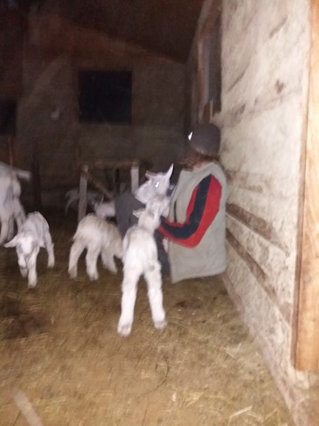 Joaca cu  iezi - Fatari 2018