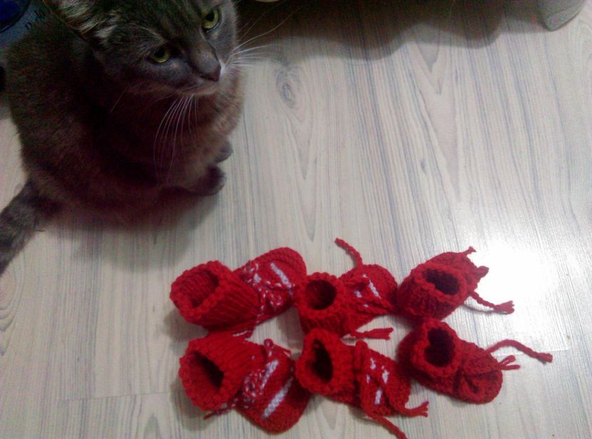  - Tricotaje 2016-2017