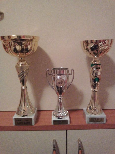 Un an reusit!! - REZULTATUL IEPURILOR!!!