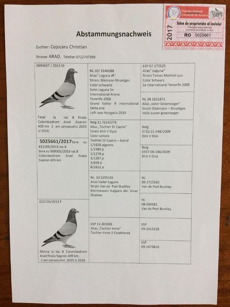Columb-Transilvania-RO-5025661-2017-pedigree - F WASCKI