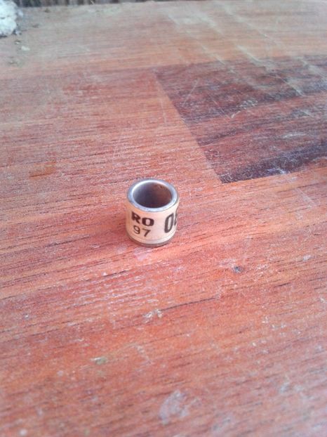 Ro 97 - Colectie inele de Romania