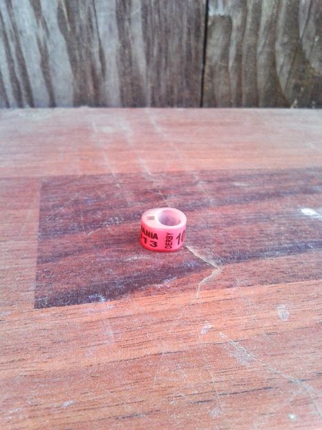 Ro 2013 derby - Colectie inele de Romania