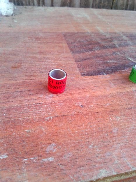 Fci 2017 - Colectie inele de Romania