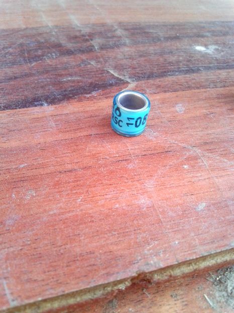 Frsc 2011 - Colectie inele de Romania