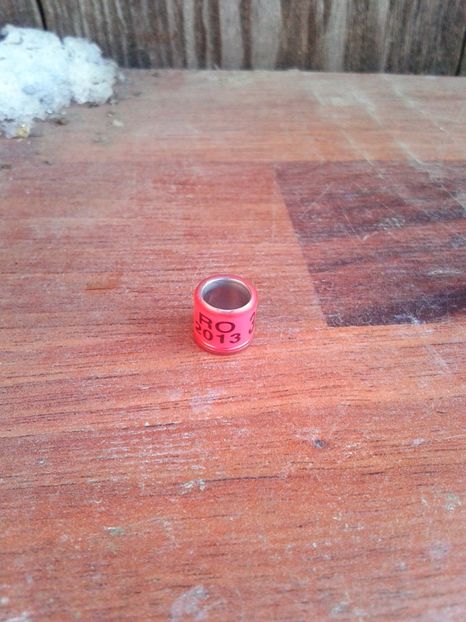 Ro 2013 - Colectie inele de Romania