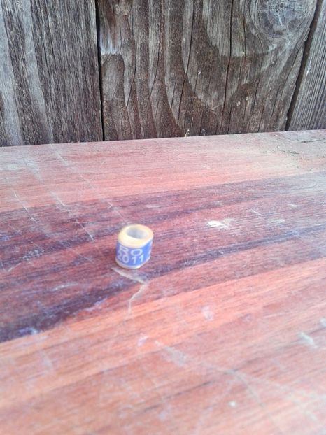 Ro 2011 - Colectie inele de Romania