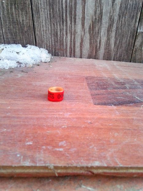 Ro 2010 serie scurta - Colectie inele de Romania