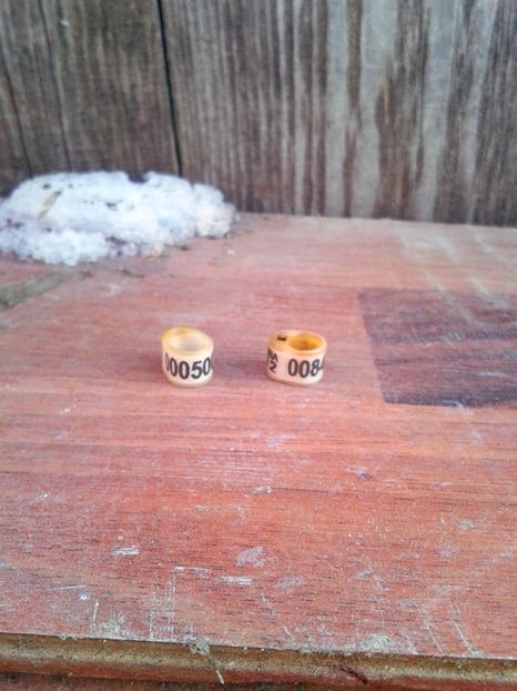 Ro 2012 0005003 si 008 serie scurta - Colectie inele de Romania