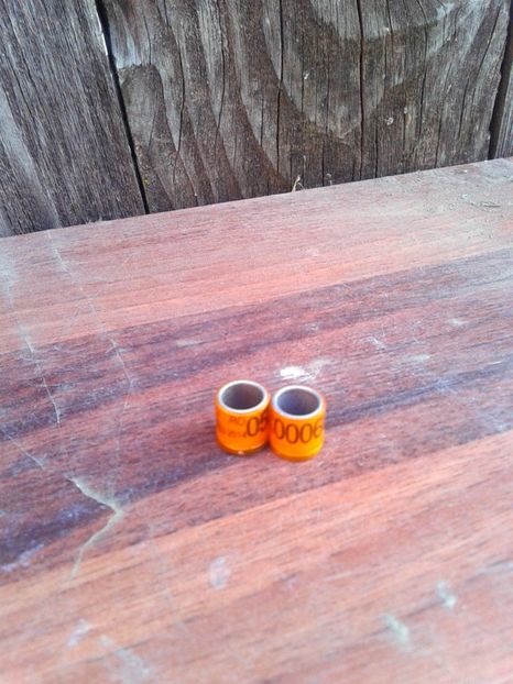 Fci 2014 0006647 serie scurta - Colectie inele de Romania