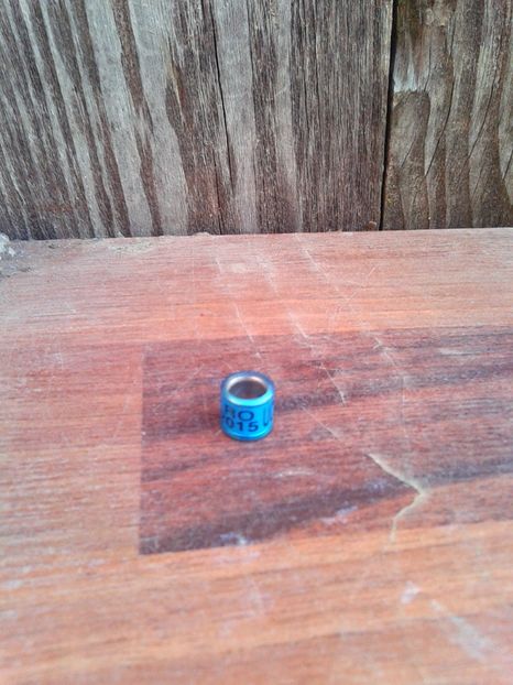 Ucp 2015 - Colectie inele de Romania