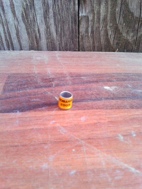 Ro 2009 - Colectie inele de Romania