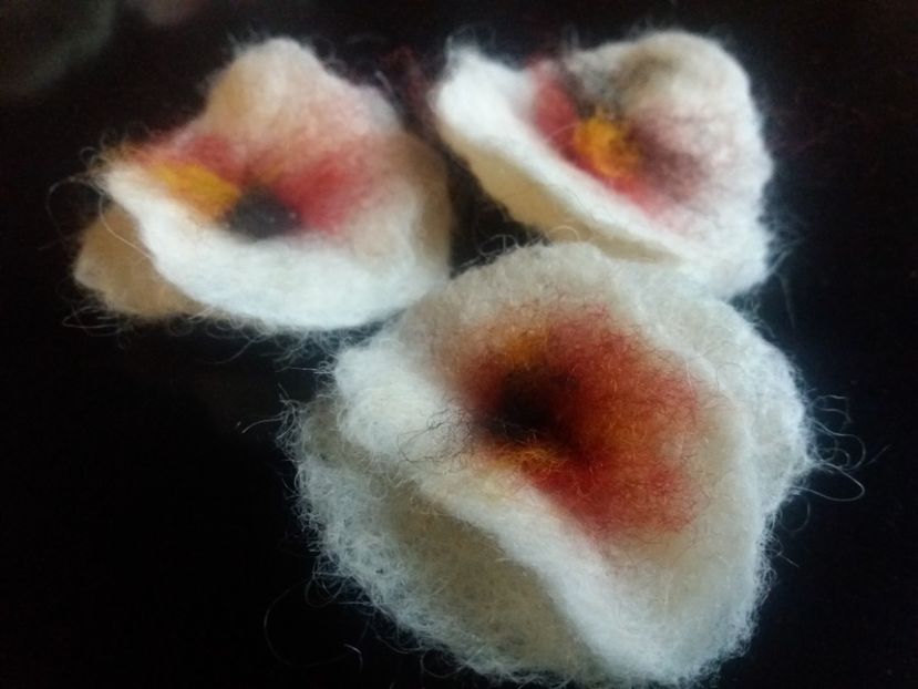 maci albi - diverse de vanzare