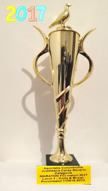 Cupa Moldova Noua 2017 Jud. Caras-Severin - Diplome - Rezultate