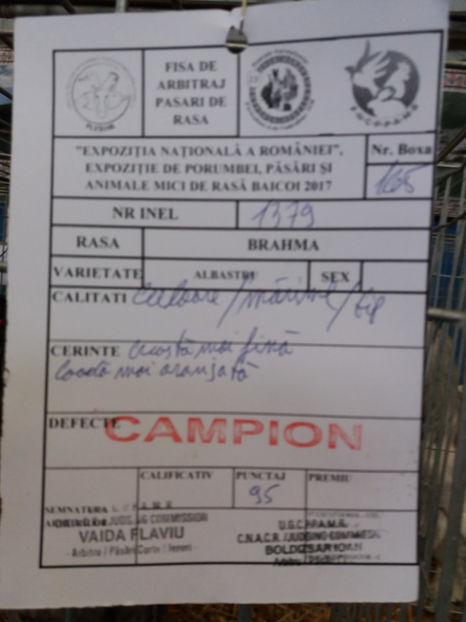  - CUPE SI DIPLOME OBTINUTE IN 2017