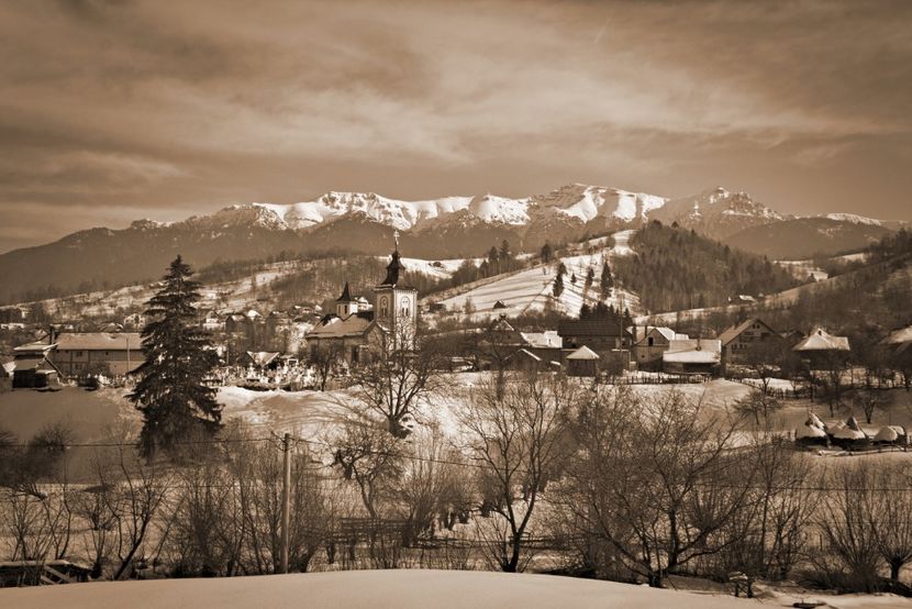  - IARNA la Moieciu si Brasov