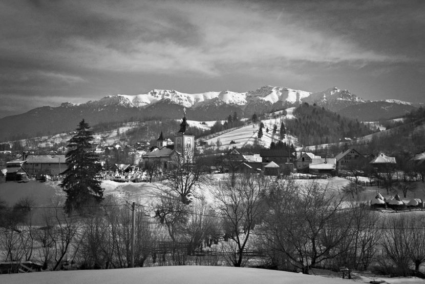 - IARNA la Moieciu si Brasov