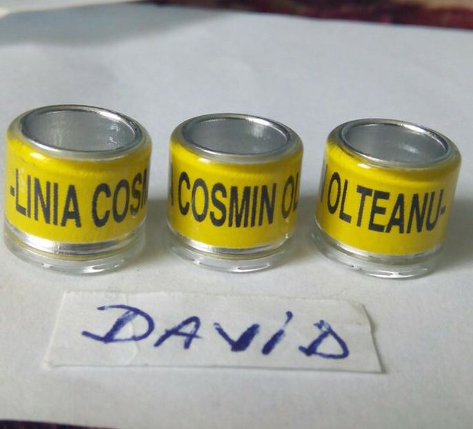 Personalizate-Cosmin Olteanu...-1 leu - Inele porumbei 2022 de vanzare