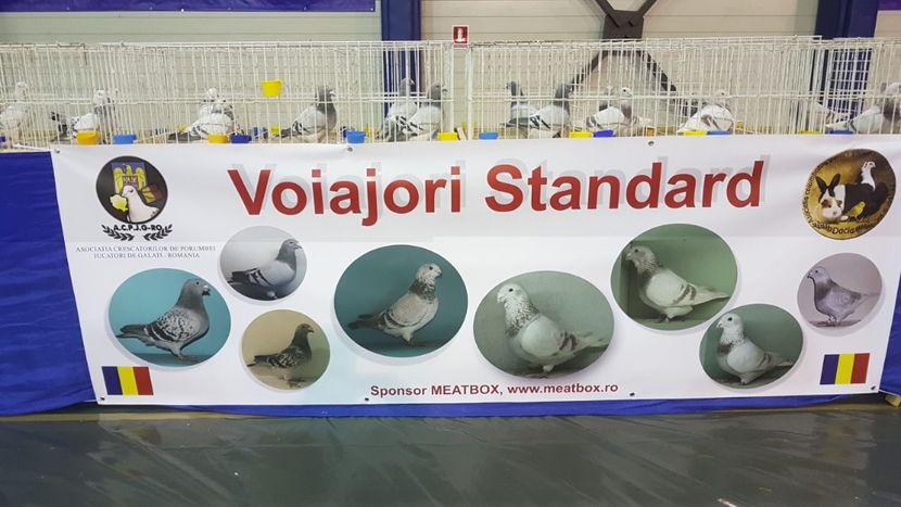  - 0 - Expozitie Otopeni 2-4 febr 2018