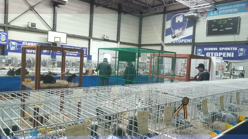  - 0 - Expozitie Otopeni 2-4 febr 2018