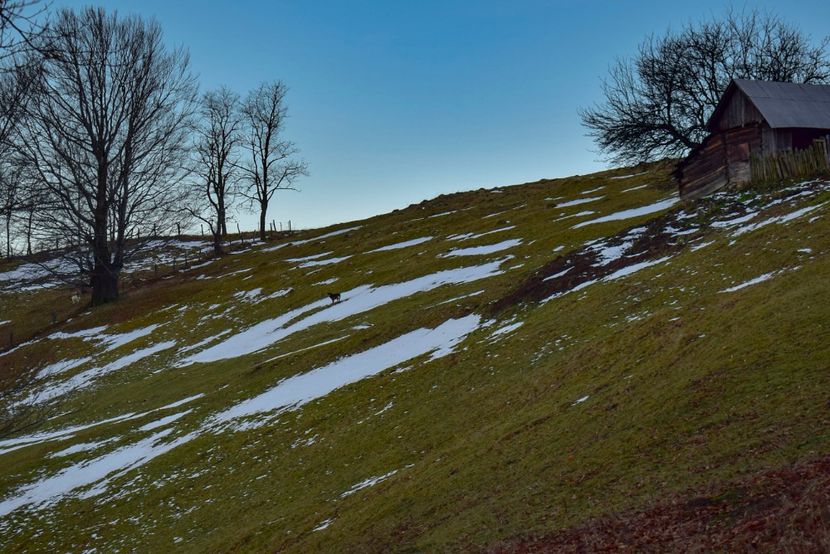  - Photo 12 - Iarna