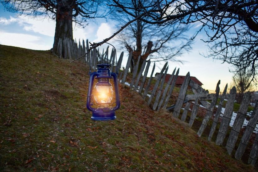  - Photo 12 - Iarna