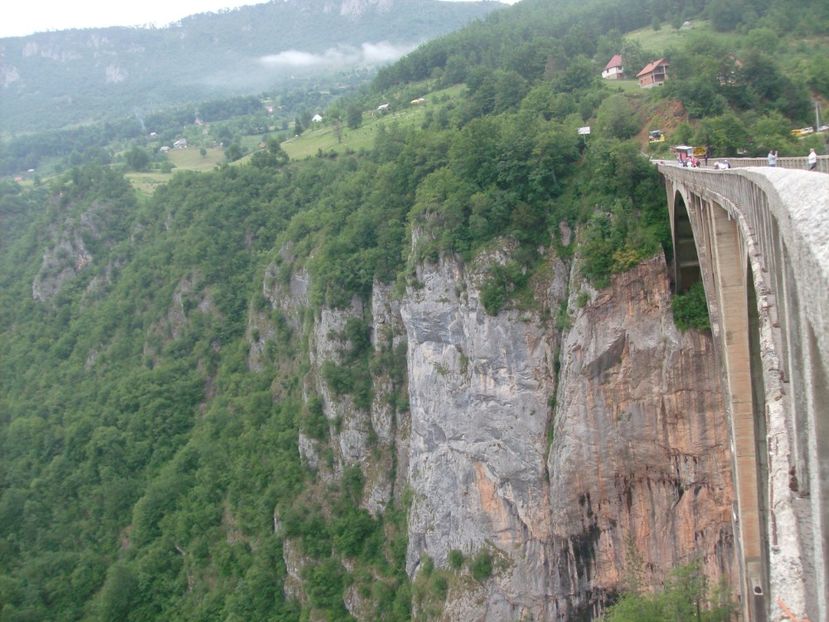 CROATIA MUNTENEGRU SLOVENIA  8 IUNIE 2016 (77) - MUNTENEGRU CROATIA SERBIA