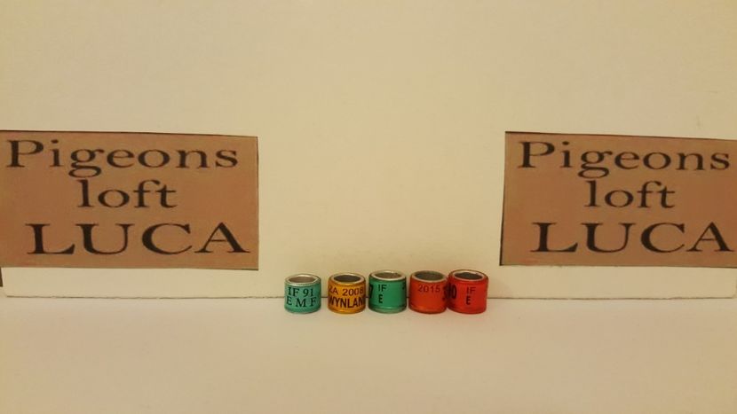  - Inele Statele Unite - 28 piese