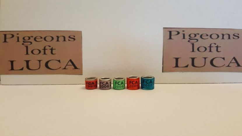  - Inele Argentina - 5 piese