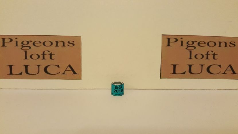 BG 2018 neomologat  fake - Inele Bulgaria - 3 piese