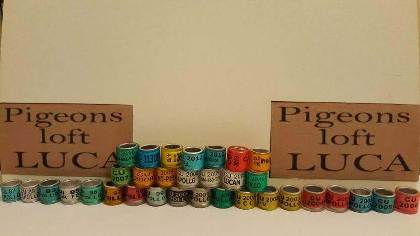  - Inele Canada - 33 piese