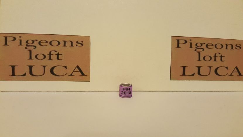 FR 2018 neomologat /fake - Inele Franta - 30 piese