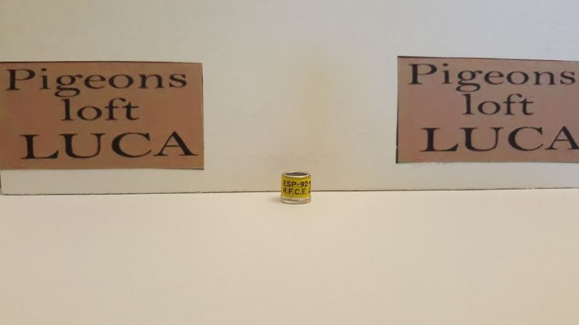  - Inele Spania - 38 piese