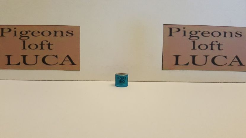  - Inele Portugalia - 51 piese