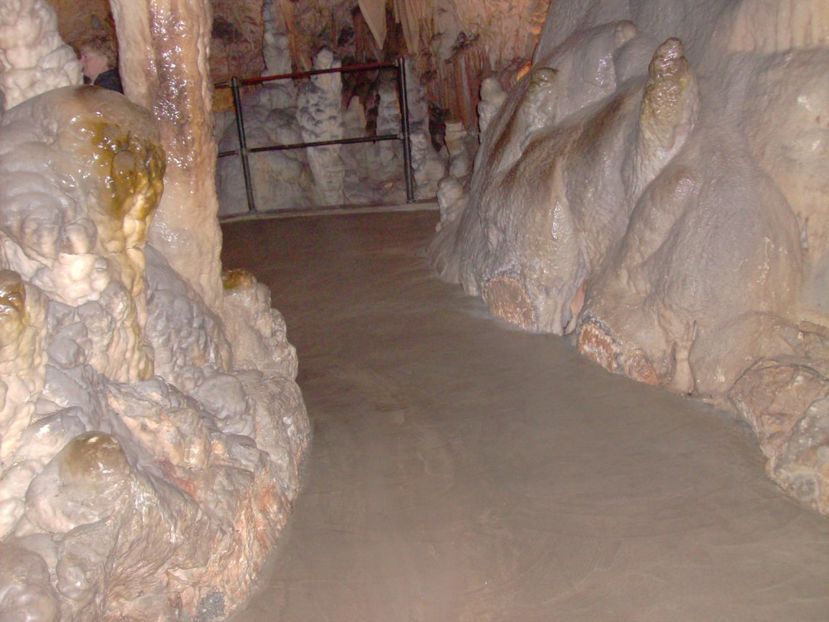 CROATIA MUNTENEGRU SLOVENIA  8 IUNIE 2016 (886) - MUNTENEGRU CROATIA SERBIA