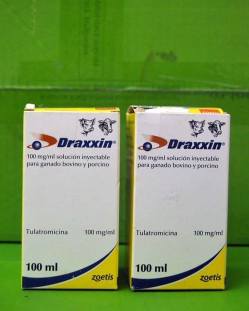  - MEDICAMENTE IEPURI