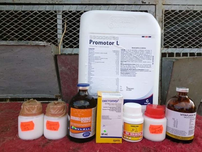  - MEDICAMENTE IEPURI