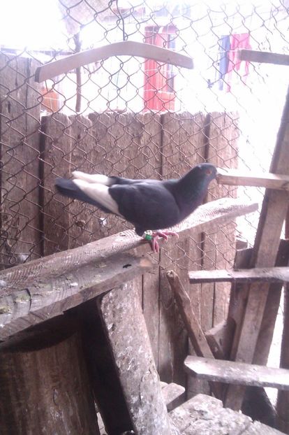 huawei 052 - poze vechi