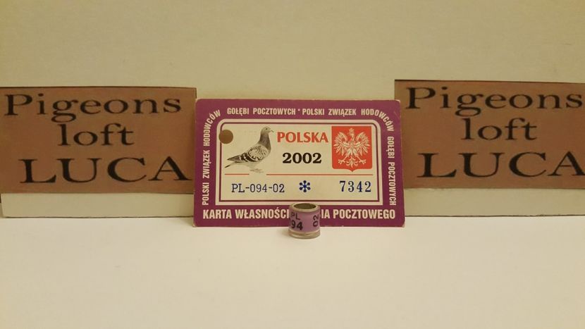  - Inele Polonia - 51 piese