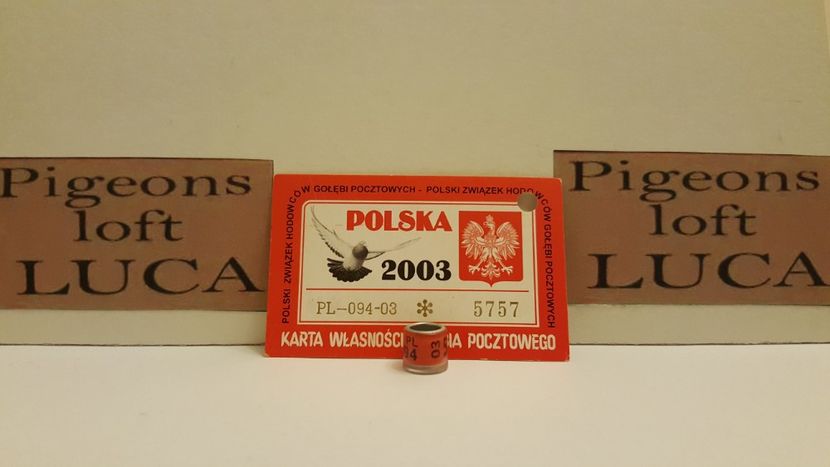  - Inele Polonia - 51 piese