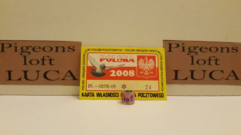  - Inele Polonia - 51 piese