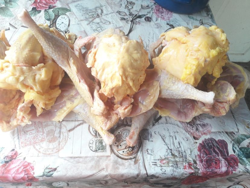  - c Plymouth rock barat