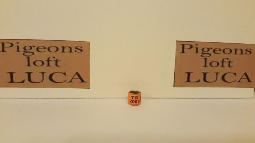  - Inele Turcia - 2 piese