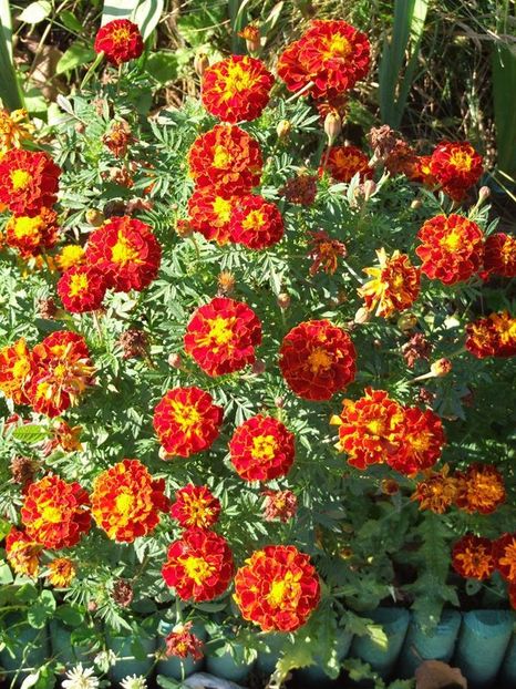 2014_craite_14 - 2014_09_Craite