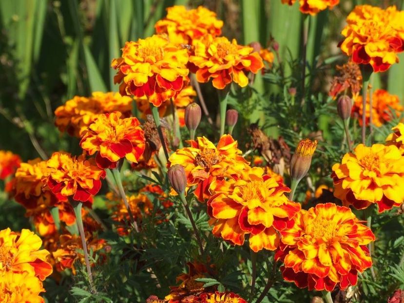 2014_craite_16 - 2014_09_Craite