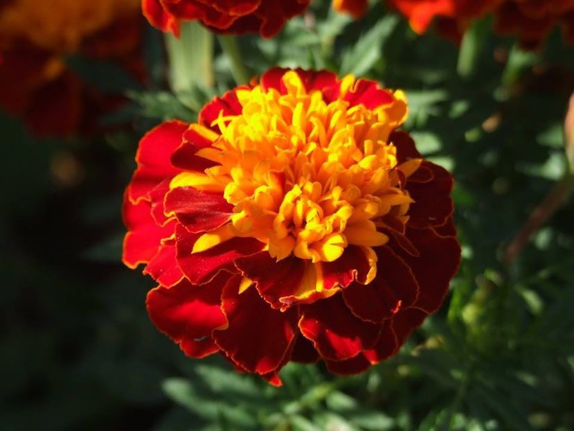 2014_craite_18 - 2014_09_Craite