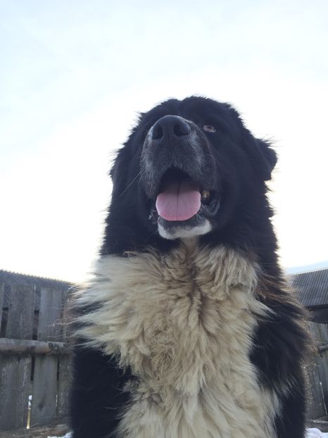 97C59E97-D1A4-441F-AAB5-1C2946027A58 - 5 Shakira