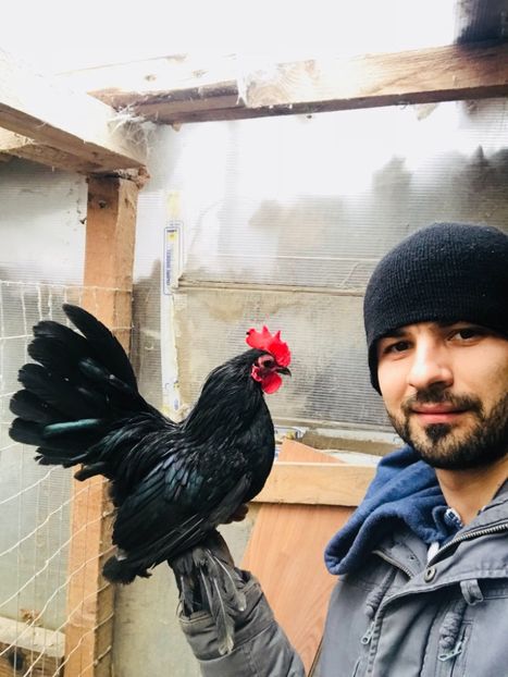 E553811F-933E-41AB-A926-C02678BB9806 - Mii de flori negru 2018