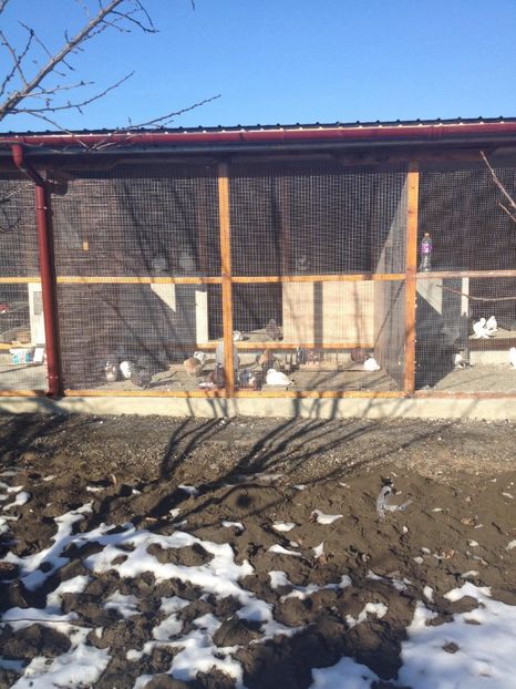 27708152_337068586792349_1344446057_o - NOUA CRESCATORIE